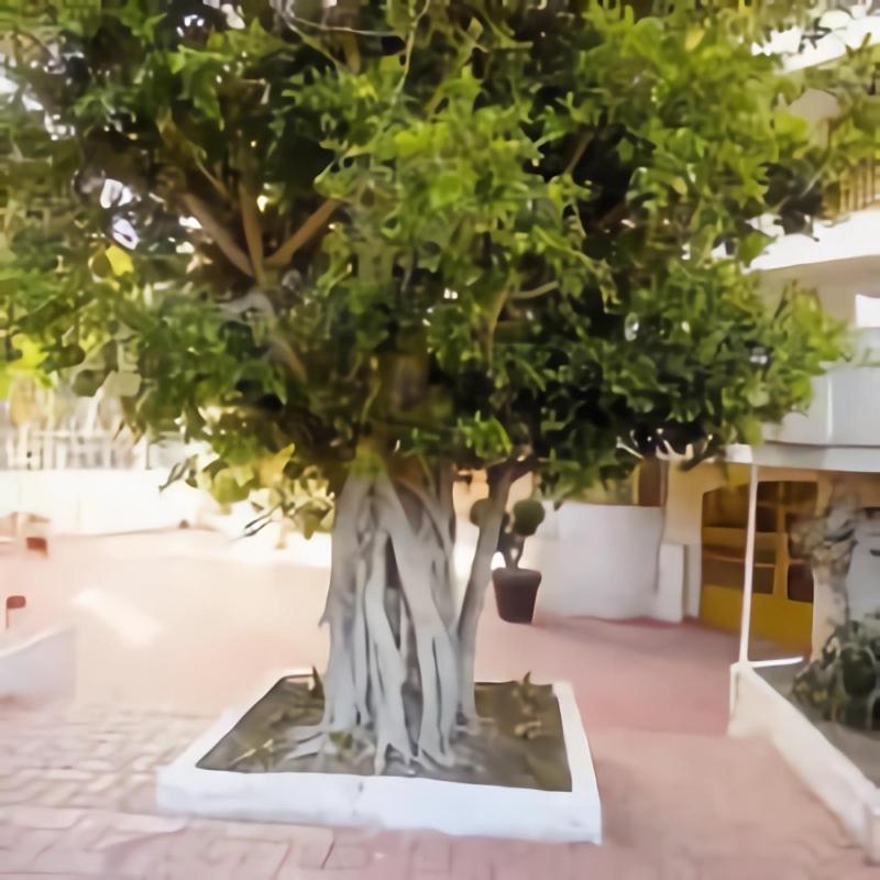 Luminoso Apartamento En Salou Con Terraza Y Parque Infantil Ideal Familias Eksteriør billede